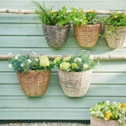 Balkonbak Wicker 3 Kl. Ass - 18 X 29 X 38 Cm -Planten Verkoop balkonbak wicker 3 kl ass 18 x 29 x 38 cm 1000x1000 6241718225456 l