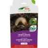 DCM Aaltjes Tegen Larven Van De Taxuskever (Kraussi-Guard®) - Bestelcode - 100 M² (50 Mio. Aaltjes) -Planten Verkoop dcm aaltjes tegen larven van de taxuskever kraussi guard bes 1000x1000 648300324a29e l