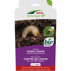 DCM Aaltjes Tegen Larven Van De Taxuskever (Kraussi-Guard®) - Bestelcode - 50 M² (25 Mio. Aaltjes)