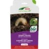 DCM Aaltjes Tegen Larven Van De Taxuskever (Kraussi-Guard®) - Bestelcode - 10 M² (5 Mio. Aaltjes) -Planten Verkoop dcm aaltjes tegen larven van de taxuskever kraussi guard bes 1000x1000 64830032bdf28 l