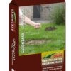 DCM Graszaad Riparo® 2 DCM Graszaad Riparo® -Planten Verkoop dcm graszaad riparo 1586240793 1 l