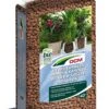 DCM Hydrokorrels -Planten Verkoop dcm hydrokorrels 1586240840 l