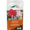 DCM Potgrond Terrasplanten & Mediterrane Planten 60 L -Planten Verkoop dcm potgrond terrasplanten mediterrane planten 60 l 1000x1000 6483002c6442a l