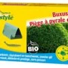 ECOstyle Deltaval Buxusmot 1 ECOstyle Deltaval Buxusmot -Planten Verkoop ecostyle deltaval buxusmot 1614086227 l