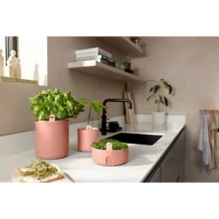 Elho Amazing Avocado Pot Bruin -Planten Verkoop elho amazing avocado pot bruin 1000x1000 64aeba7d859e3 l