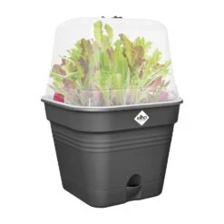 Elho Green Basics Kweekpot Vierk. Allin1 35 Cm Zwart -Planten Verkoop elho green basics kweekpot vierk allin1 35 cm zwart 1000x1000 64aebaeccc28b l