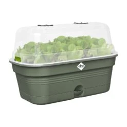Elho Green Basics Kweektray Allin1 M Groen 12 Elho Green Basics Kweektray Allin1 M Groen -Planten Verkoop elho green basics kweektray allin1 m groen 1000x1000 64aeba7ee7ae4 l