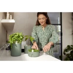 Elho Magic Microgreens Groen -Planten Verkoop elho magic microgreens groen 1000x1000 64aebb19e5063 l