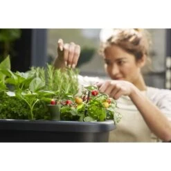 Elho Noa Kweektafel Zwart -Planten Verkoop elho noa kweektafel zwart 1000x1000 64aebaca7b56b l