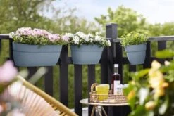 Elho Plantenbak Vibia Campana Easy Hanger Large Blauw 12 Elho Plantenbak Vibia Campana Easy Hanger Large Blauw -Planten Verkoop elho plantenbak vibia campana easy hanger large blauw 800x534 620e3cf1db03a l