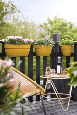 Elho Plantenbak Vibia Campana Easy Hanger Large Geel -Planten Verkoop elho plantenbak vibia campana easy hanger large geel 534x800 620e3ce805d55 l