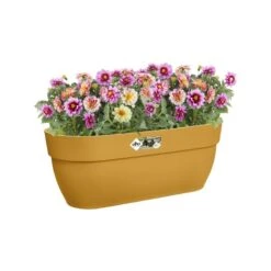 Elho Plantenbak Vibia Campana Easy Hanger Large Geel -Planten Verkoop elho plantenbak vibia campana easy hanger large geel 800x800 620e3ce7b4e0f l