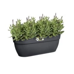 Elho Plantenbak Vibia Campana Easy Hanger Large Grijs -Planten Verkoop elho plantenbak vibia campana easy hanger large grijs 800x800 620e3ce607086 l