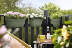 Elho Plantenbak Vibia Campana Easy Hanger Large Groen -Planten Verkoop elho plantenbak vibia campana easy hanger large groen 800x534 620e3cec4c494 l