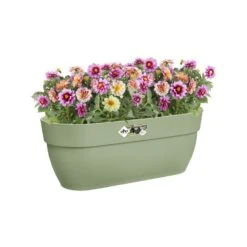 Elho Plantenbak Vibia Campana Easy Hanger Large Groen -Planten Verkoop elho plantenbak vibia campana easy hanger large groen 800x800 620e3cec0c8d5 l