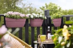 Elho Plantenbak Vibia Campana Easy Hanger Large Roze -Planten Verkoop elho plantenbak vibia campana easy hanger large roze 800x534 620e3ce933e48 l