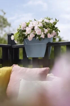 Elho Plantenbak Vibia Campana Flower Bridge 40cm Blauw -Planten Verkoop elho plantenbak vibia campana flower bridge 40cm blauw 534x800 620e3d2658489 l