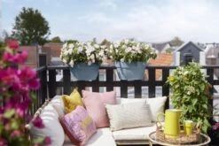 Elho Plantenbak Vibia Campana Flower Bridge 40cm Blauw -Planten Verkoop elho plantenbak vibia campana flower bridge 40cm blauw 800x534 620e3d26b92ed l