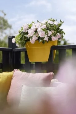 Elho Plantenbak Vibia Campana Flower Bridge 40cm Geel -Planten Verkoop elho plantenbak vibia campana flower bridge 40cm geel 534x800 620e3d1223b34 l