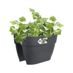 Elho Plantenbak Vibia Campana Flower Bridge 40cm Grijs -Planten Verkoop elho plantenbak vibia campana flower bridge 40cm grijs 800x800 620e3cfbabf23 l