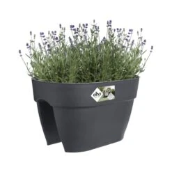 Elho Plantenbak Vibia Campana Flower Bridge 40cm Grijs -Planten Verkoop elho plantenbak vibia campana flower bridge 40cm grijs 800x800 620e3cfc41131 l