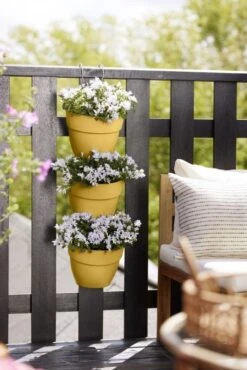 Elho Plantenbak Vibia Campana Vertical Forest Set/3 Geel -Planten Verkoop elho plantenbak vibia campana vertical forest set 3 geel 534x800 620e3cf4d1a98 l