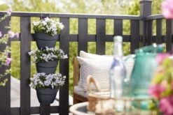 Elho Plantenbak Vibia Campana Vertical Forest Set/3 Grijs -Planten Verkoop elho plantenbak vibia campana vertical forest set 3 grijs 800x534 620e3cea93270 l