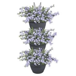 Elho Plantenbak Vibia Campana Vertical Forest Set/3 Grijs -Planten Verkoop elho plantenbak vibia campana vertical forest set 3 grijs 800x800 620e3cea13f57 l
