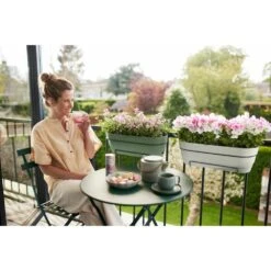 Elho Vibia Campana Balkonbak 50 Cm Groen -Planten Verkoop elho vibia campana balkonbak 50 cm groen 1000x1000 64aebb273c5ca l