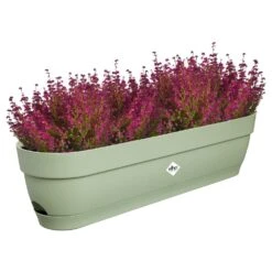 Elho Vibia Campana Balkonbak 70 Cm Groen -Planten Verkoop elho vibia campana balkonbak 70 cm groen 1000x1000 64aebb33def32 l