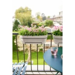 Elho Vibia Campana Balkonbak 70 Cm Wit 12 Elho Vibia Campana Balkonbak 70 Cm Wit -Planten Verkoop elho vibia campana balkonbak 70 cm wit 1000x1000 64aebb3cda1ff l