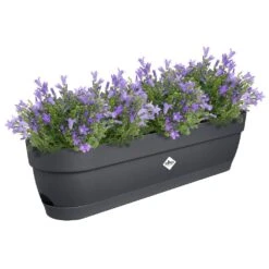 Elho Vibia Campana Balkonbak 70 Cm Zwart 9 Elho Vibia Campana Balkonbak 70 Cm Zwart -Planten Verkoop elho vibia campana balkonbak 70 cm zwart 1000x1000 64aebb38c8a79 l