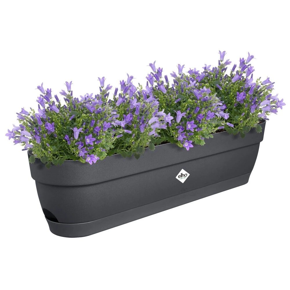 Elho Vibia Campana Balkonbak 70 Cm Zwart 4 Elho Vibia Campana Balkonbak 70 Cm Zwart - Afbeelding 2