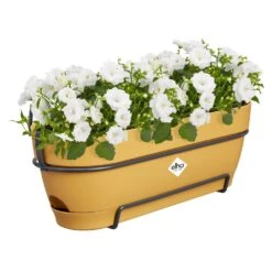 Elho Vibia Campana Balkonbak Allin1 50 Cm Geel -Planten Verkoop elho vibia campana balkonbak allin1 50 cm geel 1000x1000 64aebafe3b2fd l