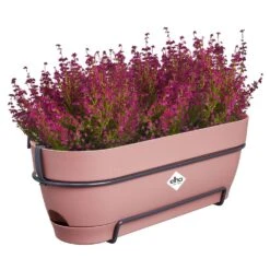 Elho Vibia Campana Balkonbak Allin1 50 Cm Roze -Planten Verkoop elho vibia campana balkonbak allin1 50 cm roze 1000x1000 64aebb023d96d l