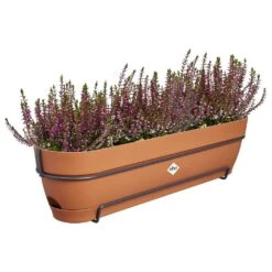 Elho Vibia Campana Balkonbak Allin1 70 Cm Bruin -Planten Verkoop elho vibia campana balkonbak allin1 70 cm bruin 1000x1000 64aebb148244f l