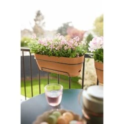 Elho Vibia Campana Balkonbak Allin1 70 Cm Bruin -Planten Verkoop elho vibia campana balkonbak allin1 70 cm bruin 1000x1000 64aebb16dd12e l