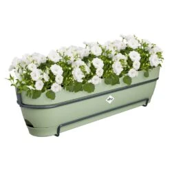 Elho Vibia Campana Balkonbak Allin1 70 Cm Groen 11 Elho Vibia Campana Balkonbak Allin1 70 Cm Groen -Planten Verkoop elho vibia campana balkonbak allin1 70 cm groen 1000x1000 64aebaf6c077e l