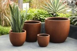 Fibre Clay Pot - 25 X 25 X 23,5 Cm 5 Fibre Clay Pot - 25 X 25 X 23,5 Cm -Planten Verkoop fibre clay pot 25 x 25 x 23 5 cm 1619436368 1 l