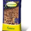 Florentus Cacaodoppen 70L -Planten Verkoop florentus cacaodoppen 70l 1583313424 l