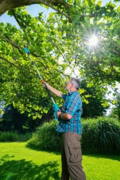 GARDENA Accu Telescopische Snoeizaag TCS 20/18 P4A Set 8 GARDENA Accu Telescopische Snoeizaag TCS 20/18 P4A Set -Planten Verkoop gardena accu telescopische snoeizaag tcs 20 18 p4a set 1000x1500 640af32266025 l