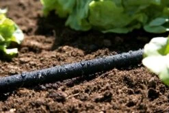 GARDENA Duizenddruppelslang 15m -Planten Verkoop gardena duizenddruppelslang 15m 1619704664 1 l