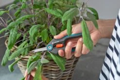 GARDENA FreshCut 9 GARDENA FreshCut -Planten Verkoop gardena freshcut 1500x1000 640af8175f65c l