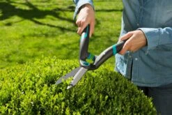 GARDENA PrecisionCut Buxusschaar -Planten Verkoop gardena precisioncut buxusschaar 1500x1000 640af7c8df197 l