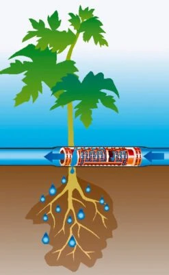 GARDENA Startset Druppelbuis Ondergrondse Bewatering 13,7mm 9 GARDENA Startset Druppelbuis Ondergrondse Bewatering 13,7mm -Planten Verkoop gardena startset druppelbuis ondergrondse bewatering 13 7mm 925x1500 640af4eed88a5 l