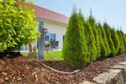 GARDENA Micro-Drip-System Startset M 25m Autom. Rijplanten -Planten Verkoop gardena startset m 25m autom 1500x1000 640af4f6bb51a l