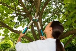 GARDENA Takkenschaar EasyCut 500 B -Planten Verkoop gardena takkenschaar easycut 500 b 1500x1000 640af7e5d4f80 l