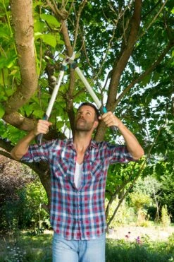 GARDENA Takkenzaag EasyCut 680 B (12003 + 8754 E12) -Planten Verkoop gardena takkenschaar easycut 680 b 8754 1000x1500 640af7ec497bd l