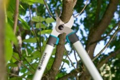 GARDENA Takkenzaag EasyCut 680 B (12003 + 8754 E12) -Planten Verkoop gardena takkenschaar easycut 680 b 8754 1500x1001 640af7ebad3ab l