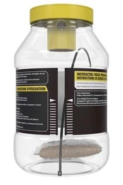 KB Vliegenval Met Lokmiddel 1 Stuk 5 KB Vliegenval Met Lokmiddel 1 Stuk -Planten Verkoop kb vliegenval met lokmiddel 1 stuk 333x500 61d6fc755bce6 l